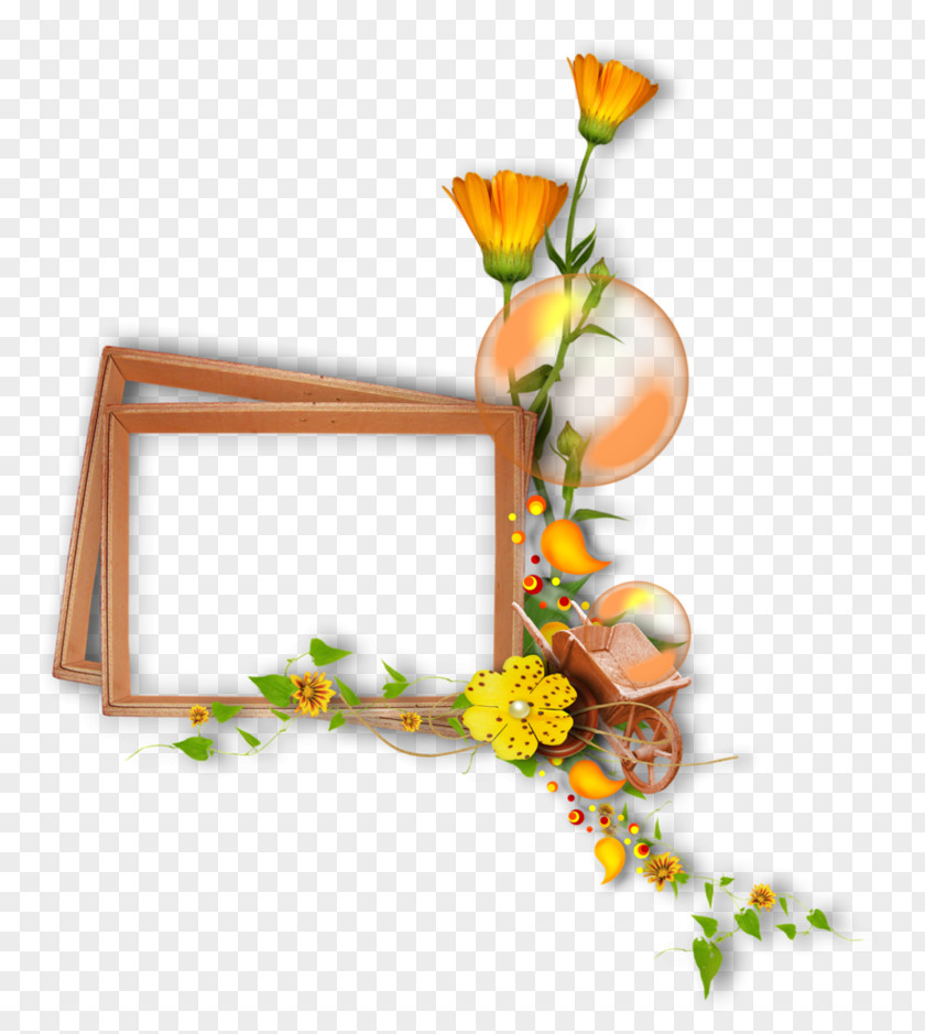 Painting Floral Design Picture Frames Flower PNG