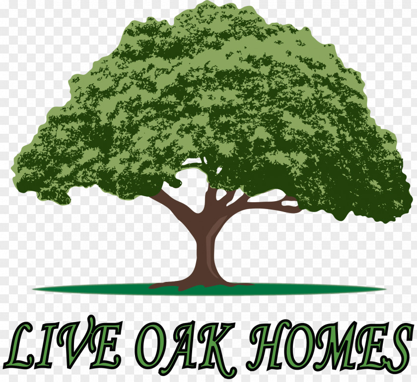 Home Live Oak Homes Mobile Waycross PNG