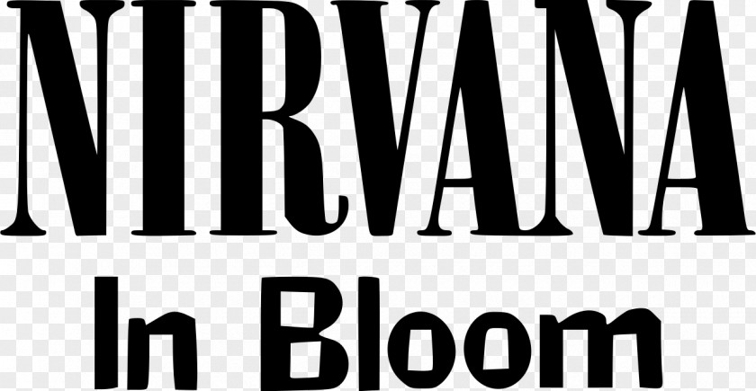 Bleach Nirvana In Utero Nevermind PNG