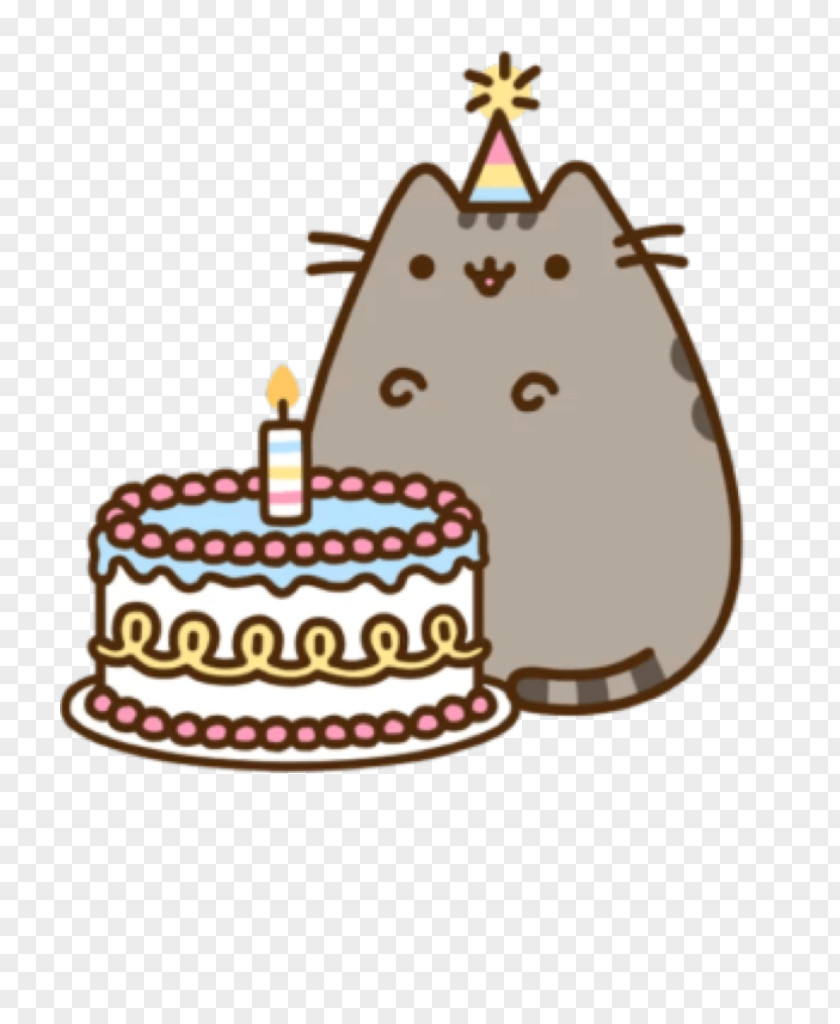 Cat Pusheen Birthday Cake PNG