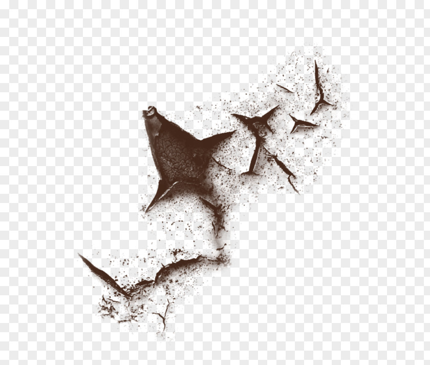 Crackle Image Editing Adobe Photoshop PNG