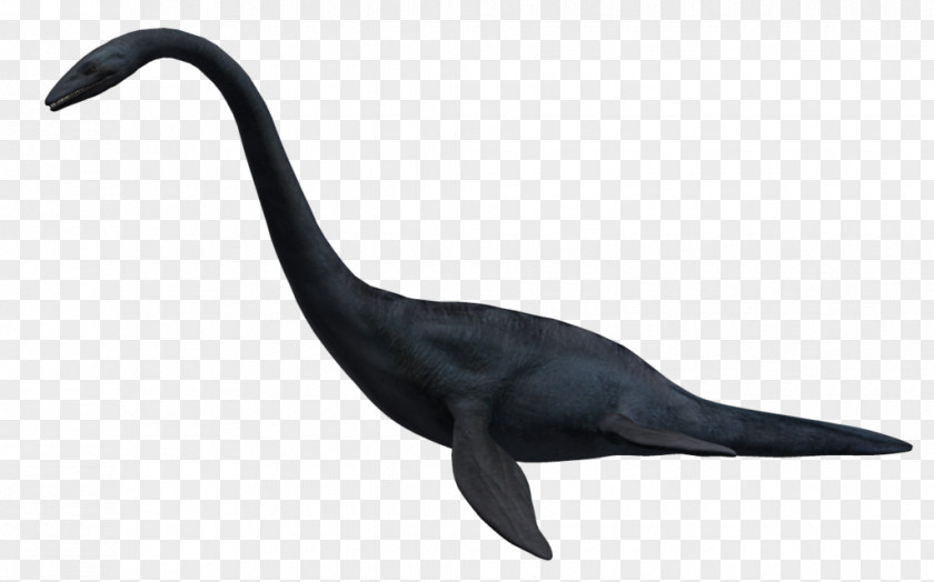 Dinosaur Elasmosaurus Mauisaurus Mosasaurus Animal PNG