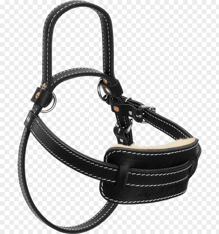 Dog Harness Guide Mobility Assistance Horse Harnesses PNG