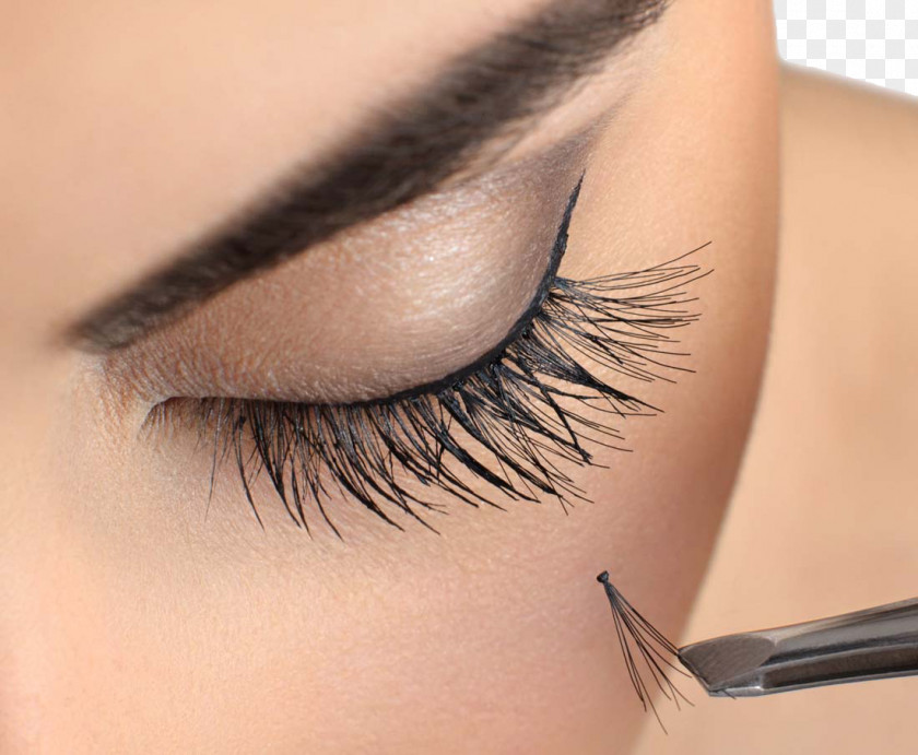 Female Eye Eyelash Extensions Beauty Parlour Cosmetics PNG