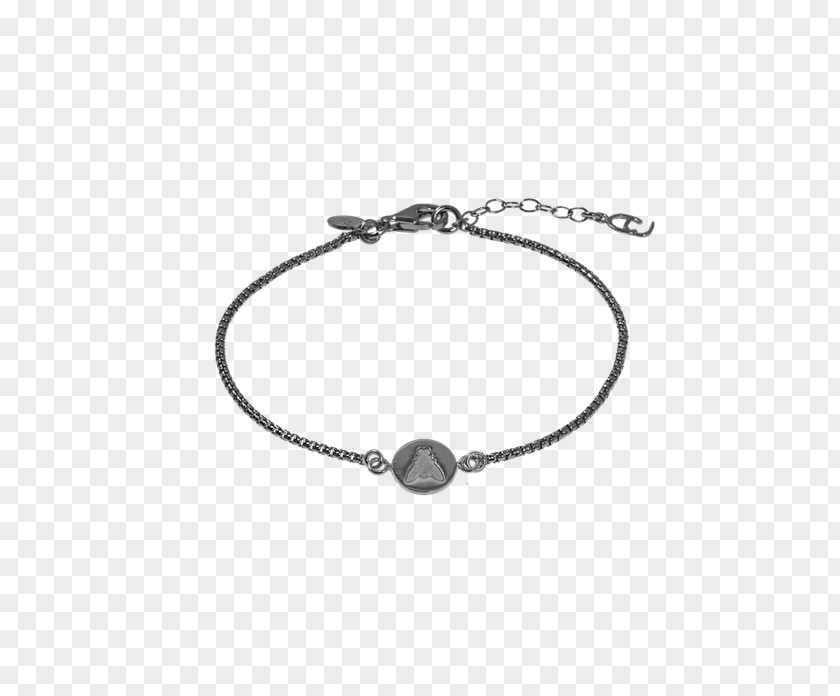 Fly Coin Jewellery Bracelet Necklace Earring Silver PNG