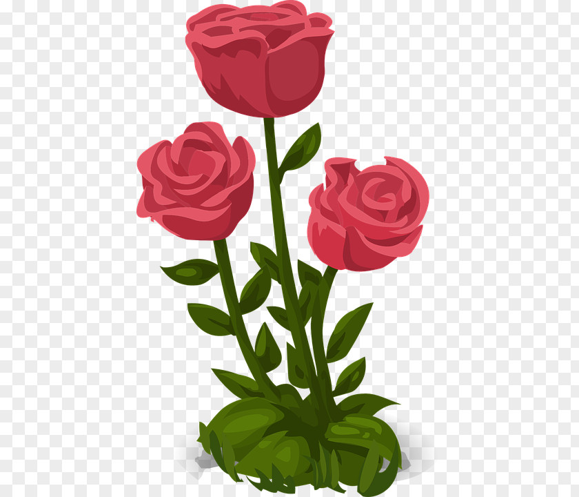 Happy Mothers Day Rose Flower PNG