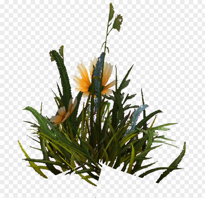 World Of Warcraft Floral Design Grasses Plant Stem Flower PNG
