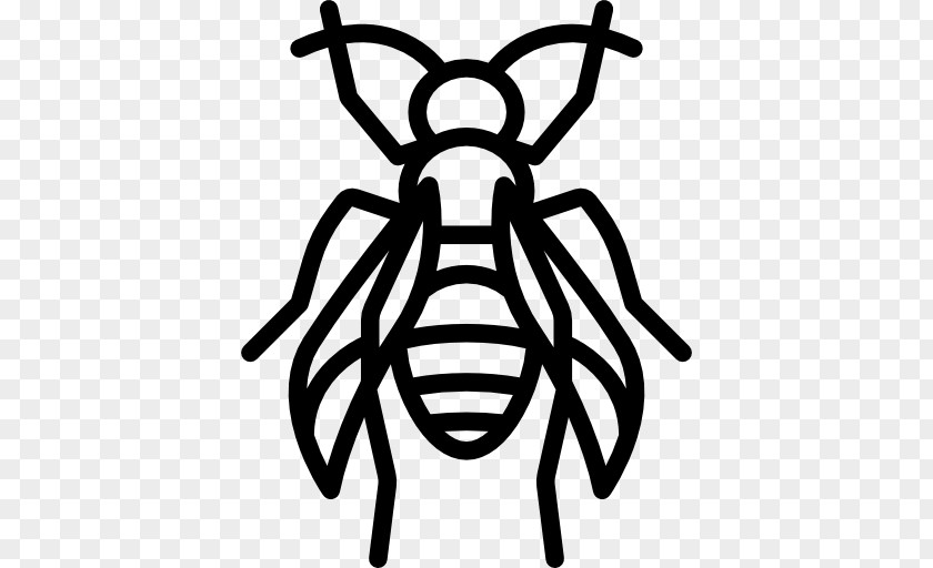 Bee Insect Stinger Clip Art PNG