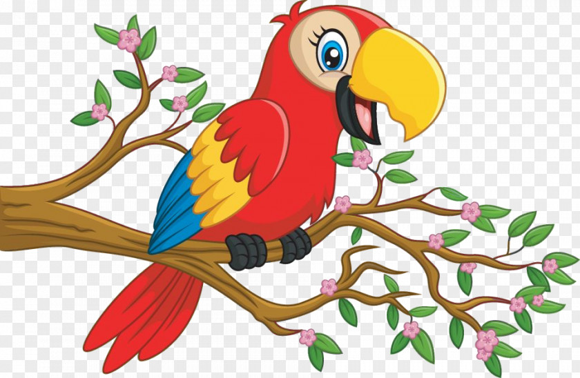 Bird Macaw Parrot Branch Beak PNG