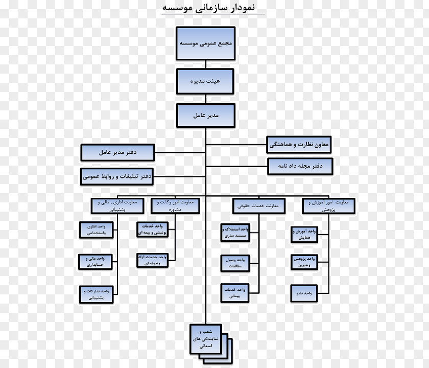 Disabled Organizational Chart ساختار Diagram PNG
