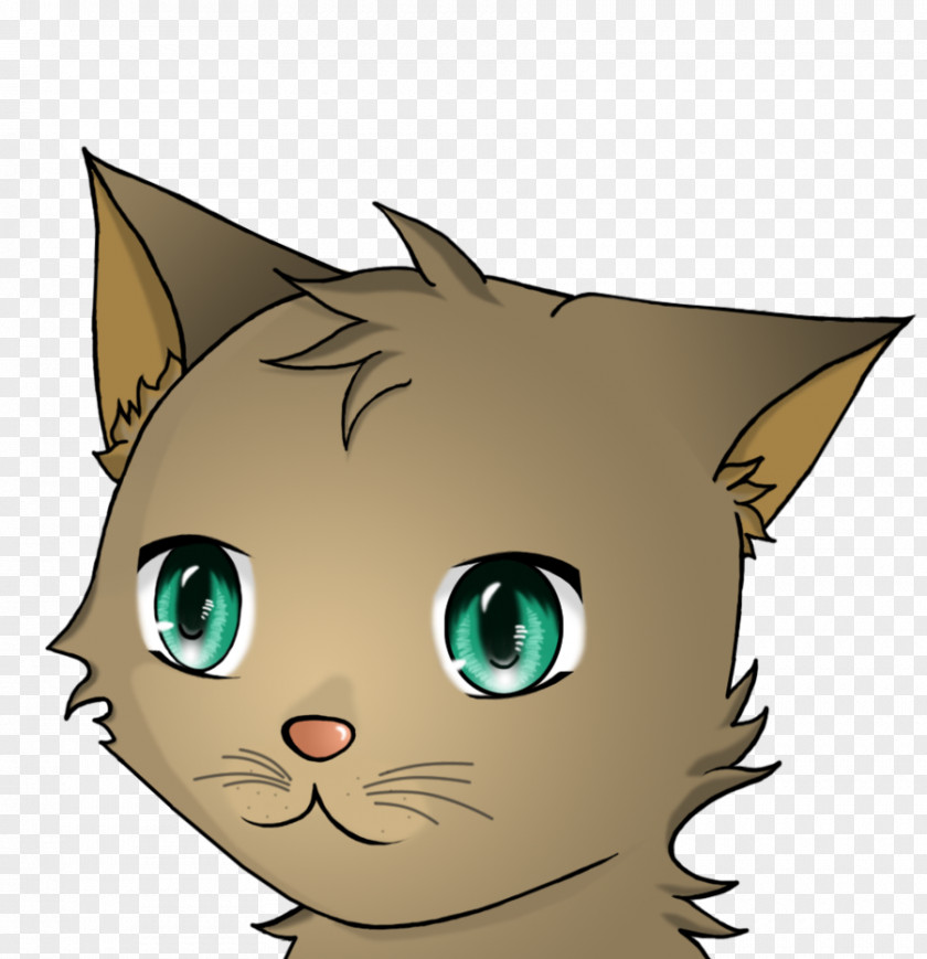 Kitten Whiskers Domestic Short-haired Cat Tabby PNG
