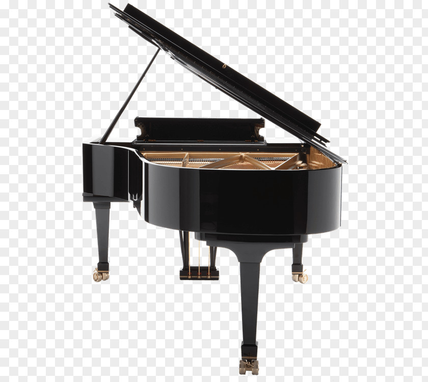 Piano Fazioli Grand Blüthner Musical Instruments PNG