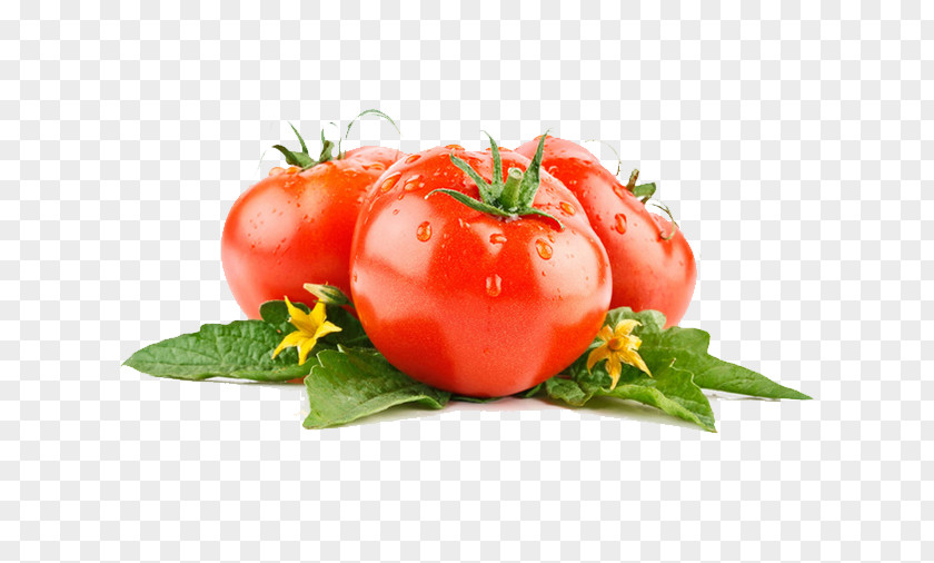 Tomato Vegetable Lettuce Fruit Food PNG