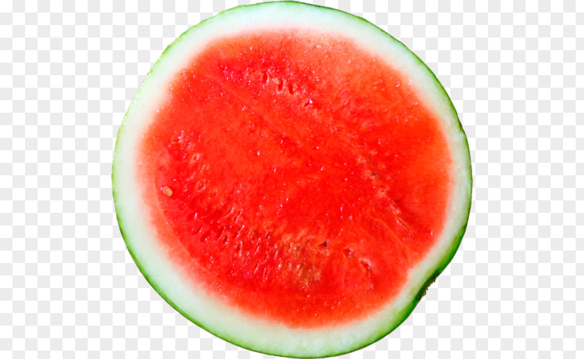 Watermelon Empresa Business Internet Profit PNG