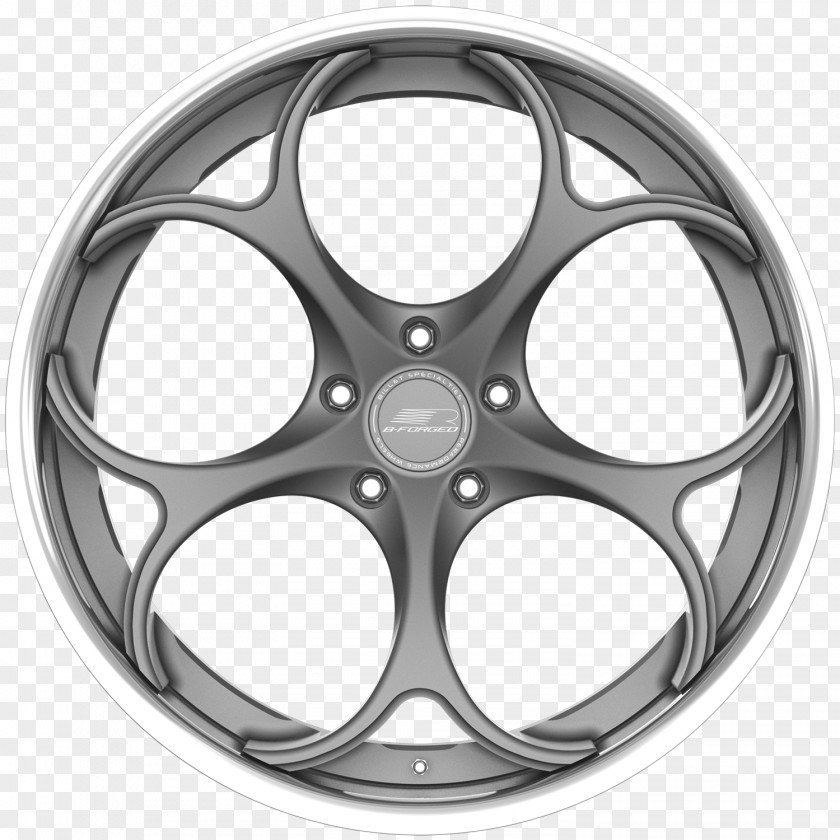 Alloy Wheel Spoke Rim Custom PNG