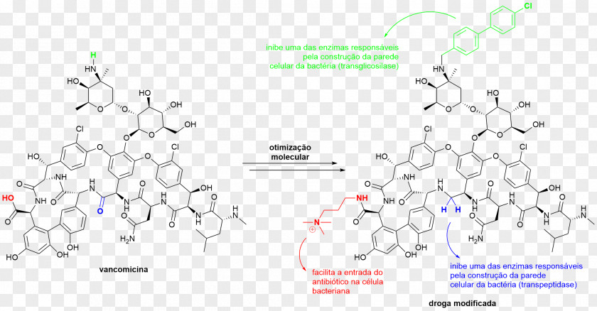 Astronomia Nova Vancomycin Antibiotics Antimicrobial Resistance Drug PNG