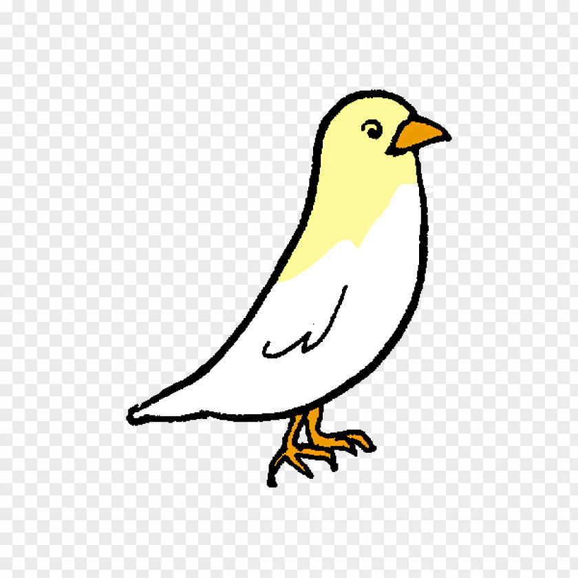 Beak Line Art Finches Yellow PNG