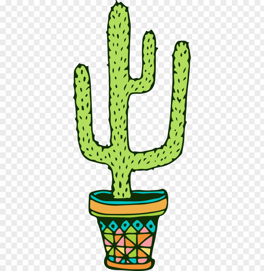 Cute Cactus Drawing Illustration Vector Graphics Image PNG