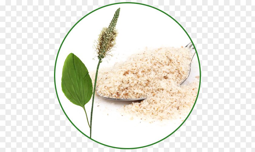 Dietary Supplement Plantago Ovata Psyllium Schluss Mit Reizdarm: Richtige Diagnose, Geeignete Ernährung, Erfolgreiche Therapie Sand Plantain PNG