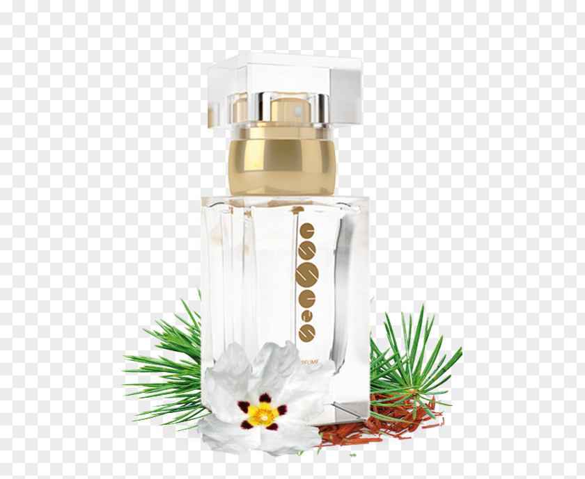 Perfume Note Aroma Christian Dior SE Cosmetics PNG