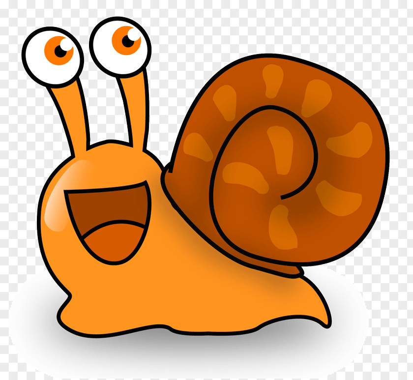 Snail Gastropods Slug Tail Animal PNG