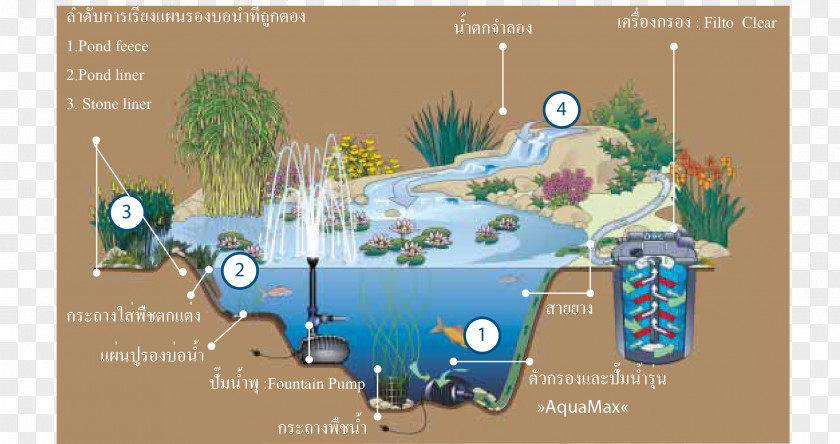 Water Garden Pond Architectural Engineering Aquatic Plants PNG