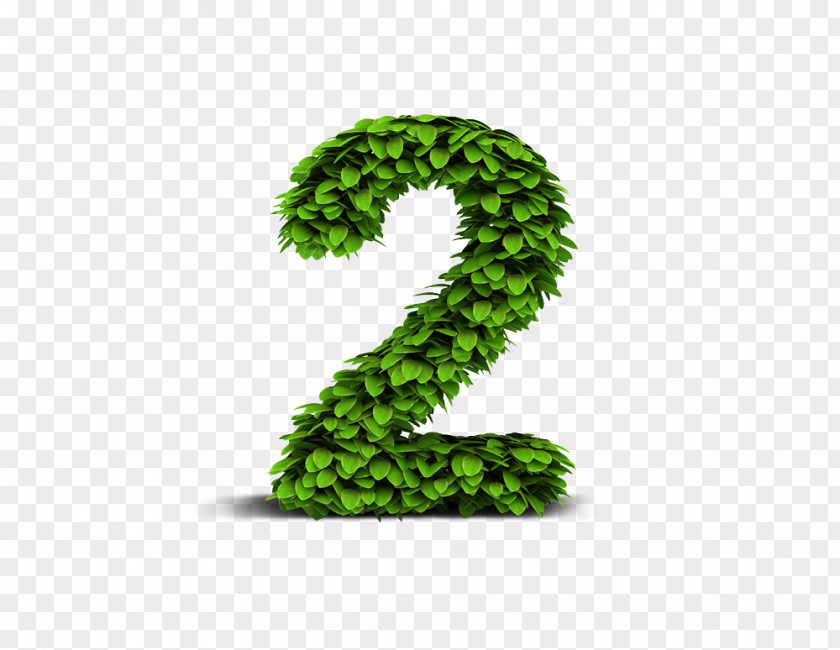 Leaves Number 2 Leaf Stock Photography PNG