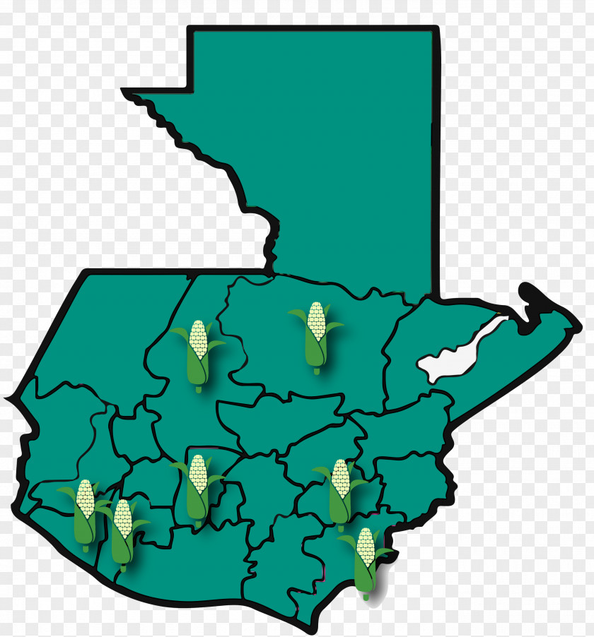 Map Green PNG