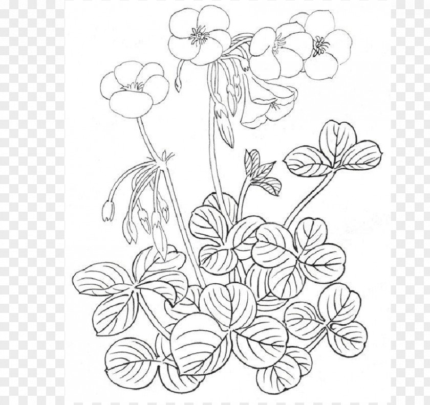 Painting Technique Floral Design Drawing Art /m/02csf PNG