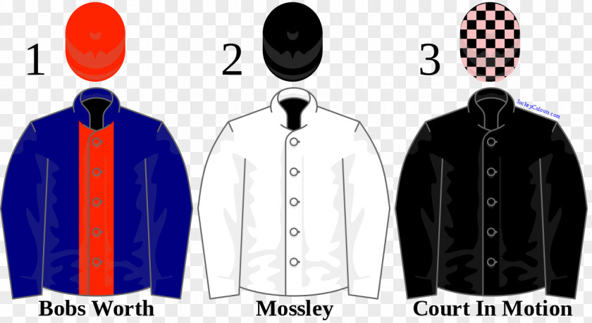 Shirt Leather Jacket Hoodie Coat Sleeve Collar PNG