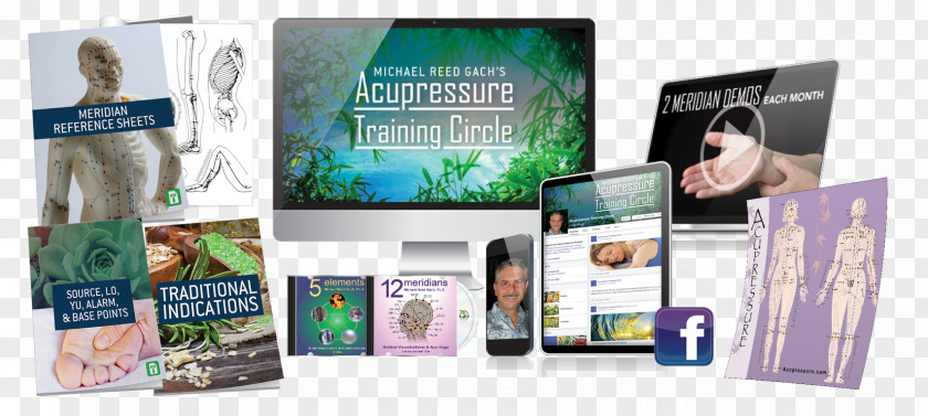 Acupressure Meridian Emotional Freedom Techniques Brand Marketing PNG