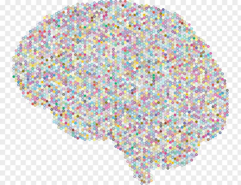 Brain Artificial Neural Network Neuron Computer Science Clip Art PNG