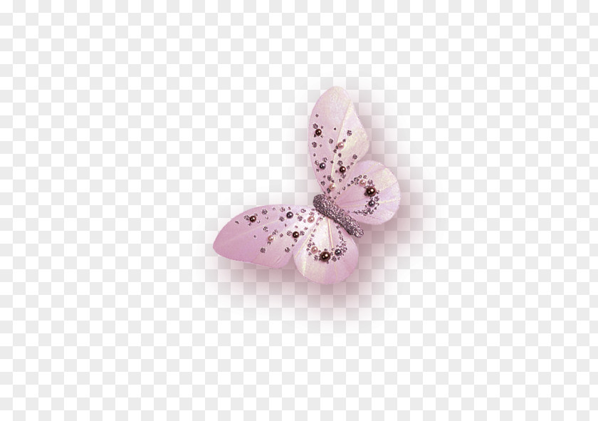 Butterfly Pink Download Chemical Element PNG