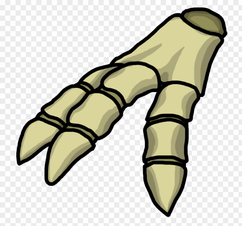 Skeleton Hand Reptile Claw Finger PNG