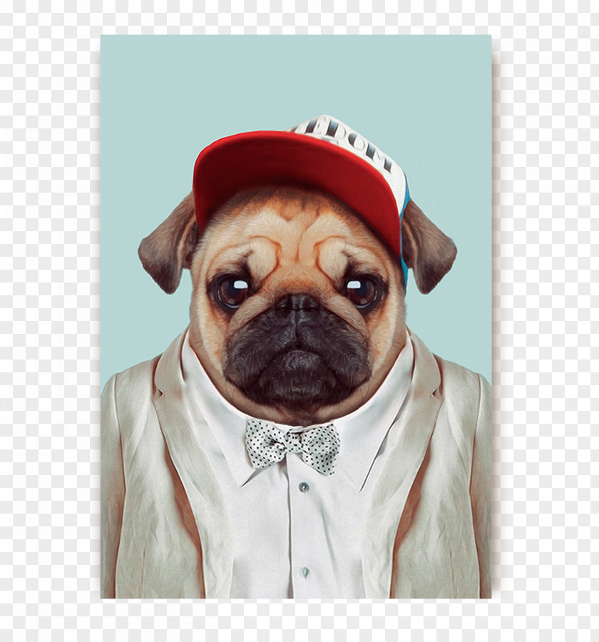 Wes Anderson Airedale Terrier Zoo Portraits 2018: SLIM NOTES Pug Clothing Bear PNG