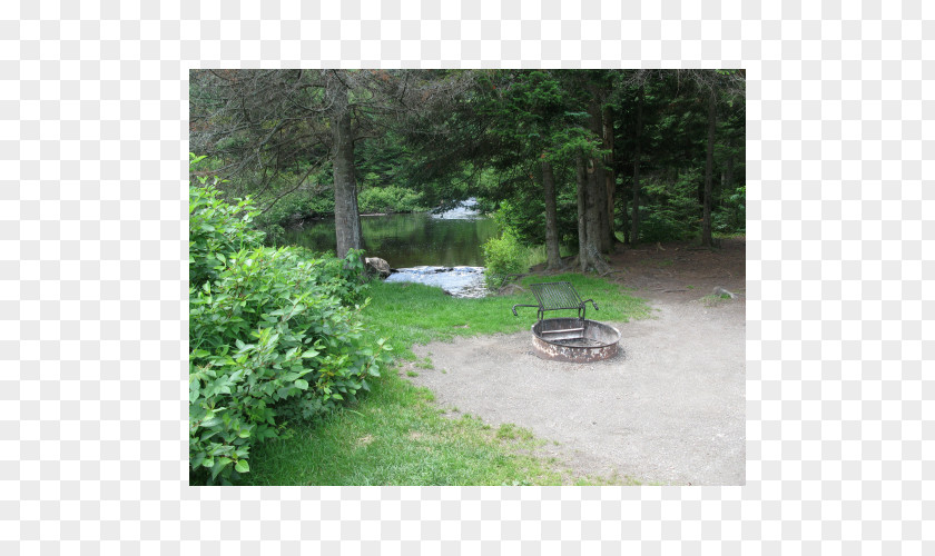 Campsite Deer Mountain Campground Connecticut Lakes October State Forest Third Lake PNG