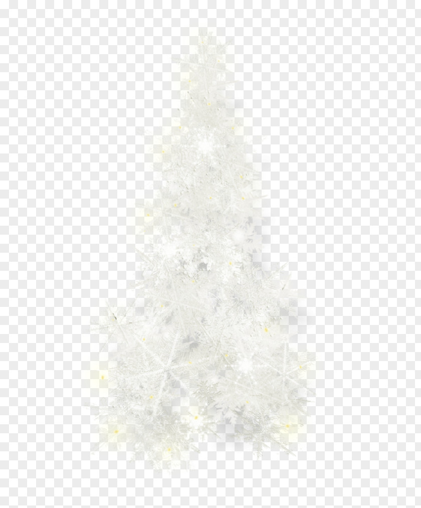 Christmas Tree Day Fir Spruce Ornament PNG