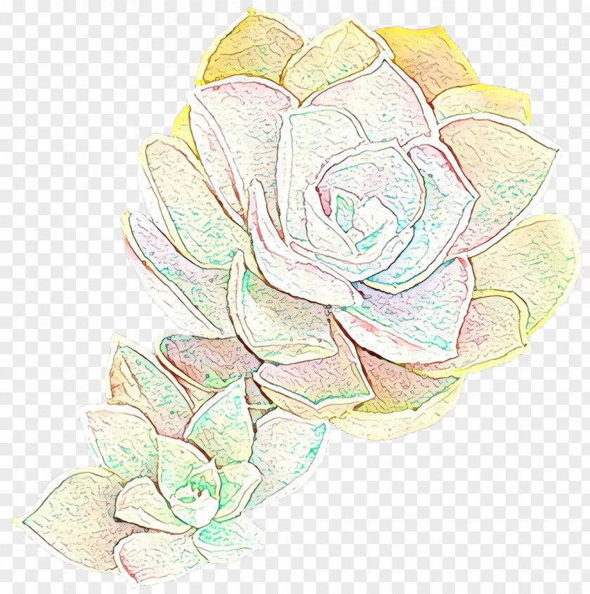 Garden Roses Cabbage Rose Floral Design Drawing Illustration PNG