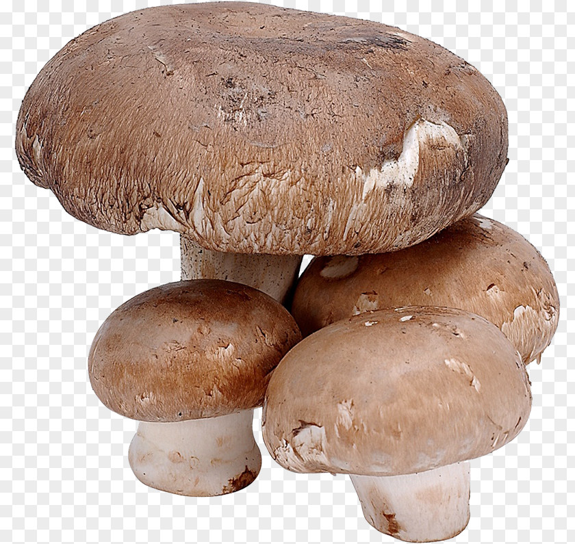Mushroom Edible Shiitake Fungus Food PNG