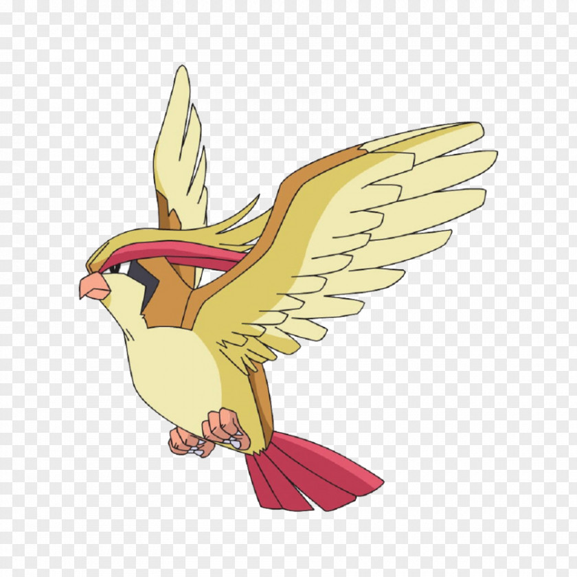 Pokemon Ash Ketchum Pidgeotto Pokémon Desktop Wallpaper PNG