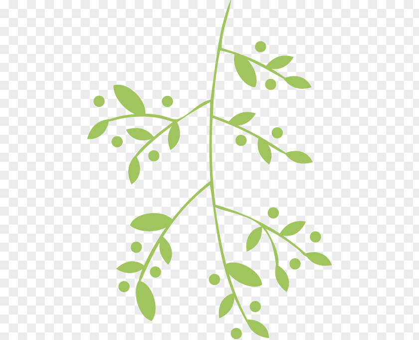 Singapore Vector Herb Hair Care Stock Clip Art PNG
