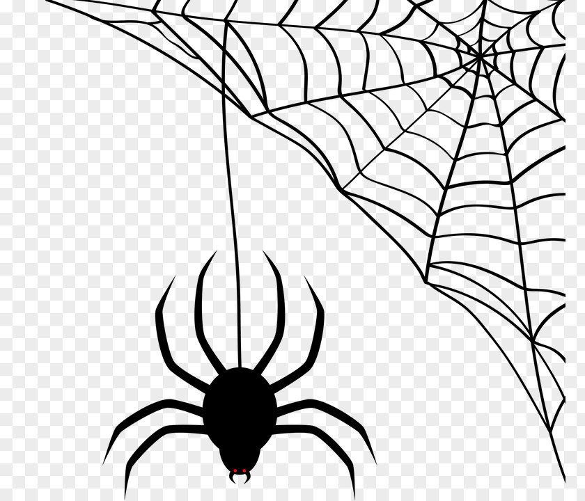 Spider Spider-Man Web PNG