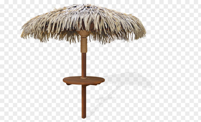 Umbrella Thatching Roof Palapa House PNG