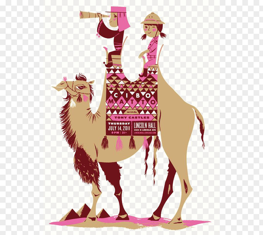 Cartoon Camel Illustration PNG