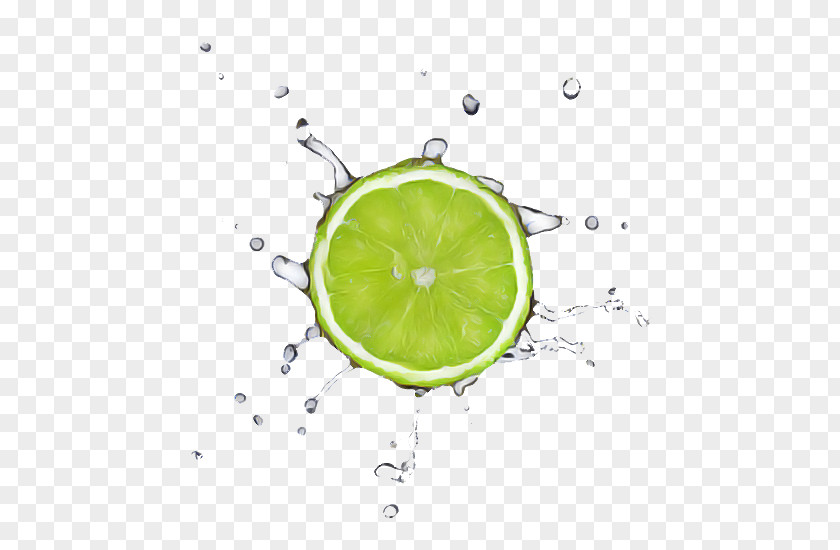 Green Lime Citrus Persian Key PNG