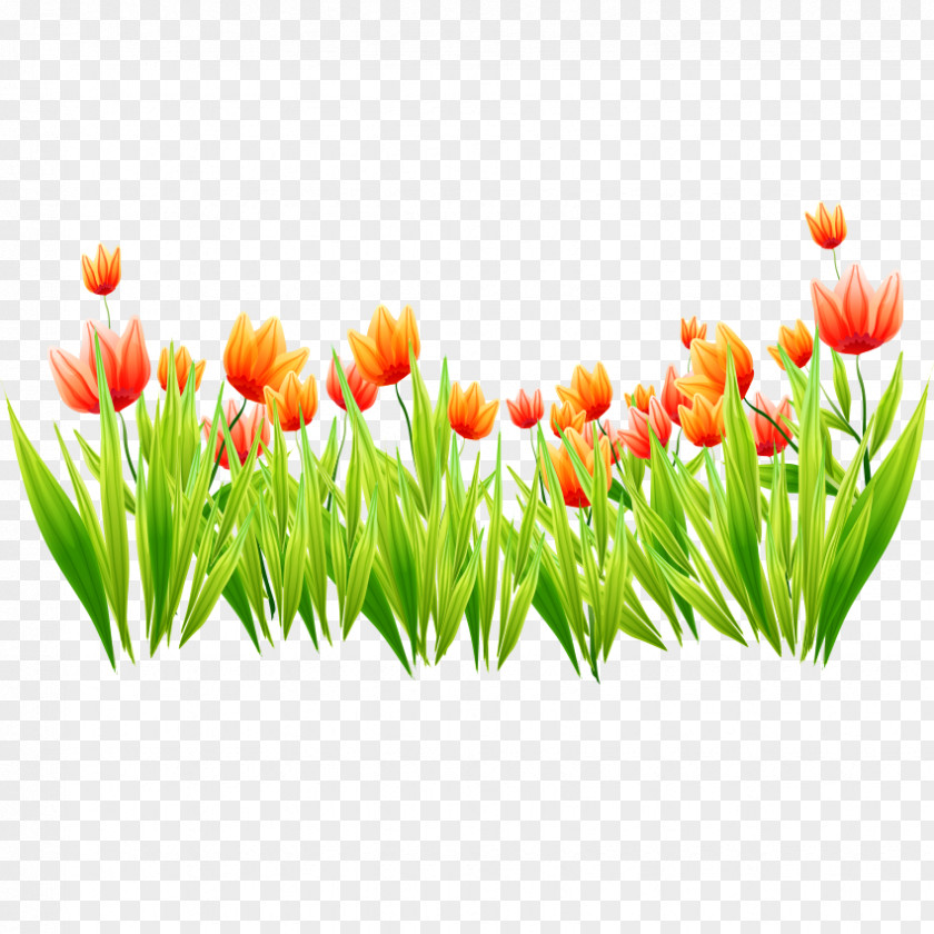 Tulip Icon PNG