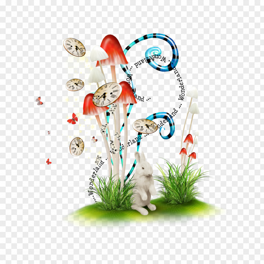 Alice In Wonderland Picture Frames Bleeding Heart Dicentra PNG