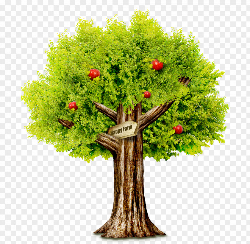 Apple Tree Health Green Chronic Condition Disease PNG