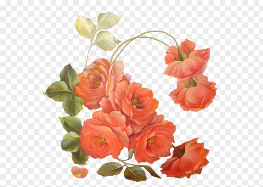 Flower Rose Clip Art PNG