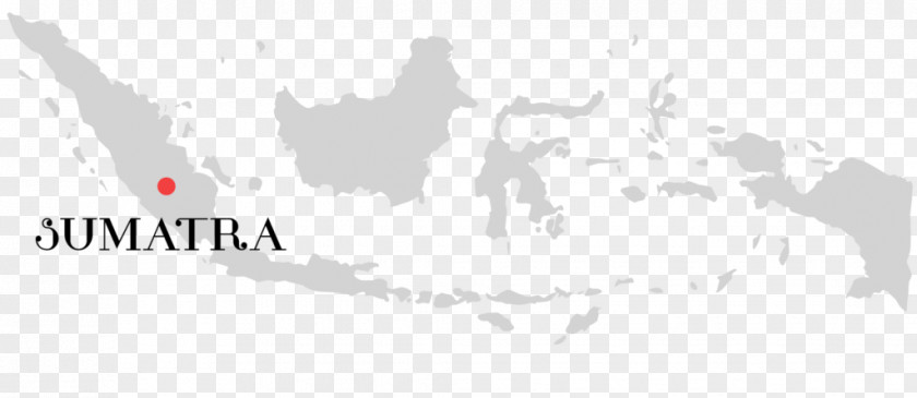 Map Indonesia Vector PNG